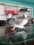 пощи ....................., снимка 2
