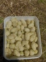 Черници плод , лозови листа , сезонни билки, снимка 3