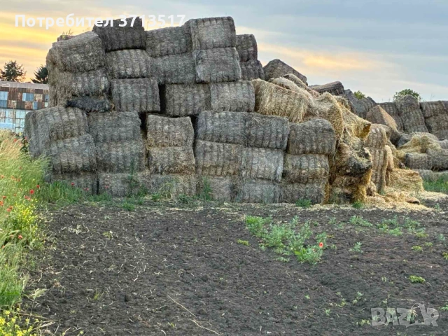 Бали слама Макси 500-600кг -15 евро