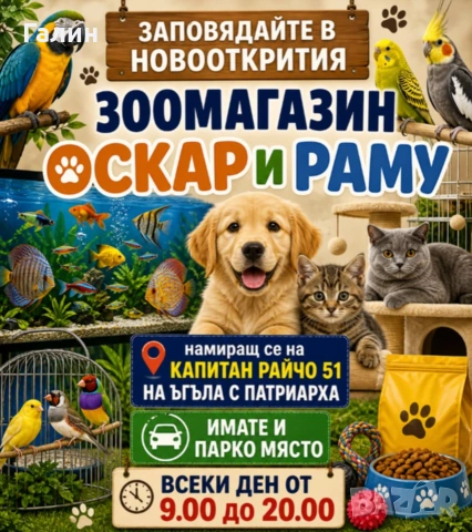 легла къщички драскалки, снимка 12 - За кучета - 54594905