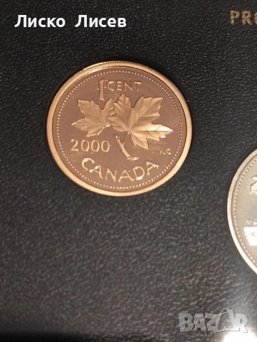 Канада сет мат-гланц 2000г., снимка 16 - Нумизматика и бонистика - 54289831