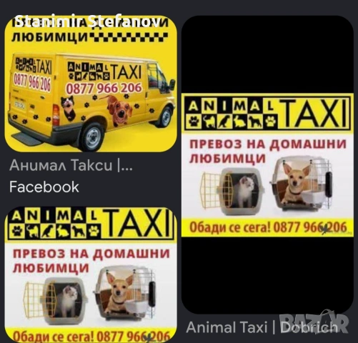 Зоотранспорт на домашни любимци, снимка 3 - Други стоки за животни - 54486060