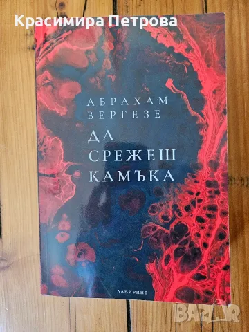 Да срежеш камъка - Абрахам Вергезе