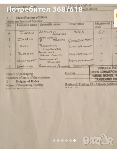 Ловен трофей, снимка 6 - Други - 53853651