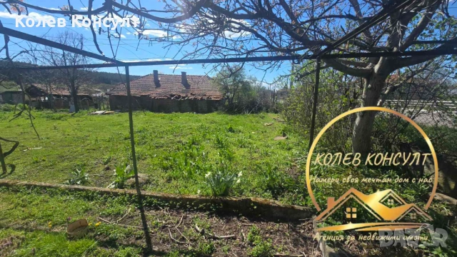 Едноетажна къща в село Бял извор, община Опан, снимка 4 - Къщи - 54189821