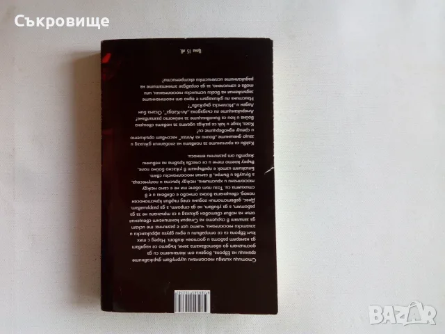  Свещеният джихад: "Ал-Кайда", "Ислямска държава" и терорът - Иван Първанов, снимка 2 - Специализирана литература - 55687033