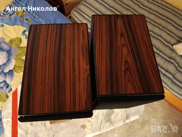 Продавам тонколони SWANS DIY 2.2, снимка 4 - Тонколони - 54575382