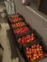 🍅 Пресни български розови домати – 10 кг щайга, снимка 4