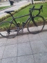 Focus Cayo carbon, снимка 8