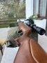 Въздушна пушка Hatsan 135QE  кал. 7.62, снимка 2