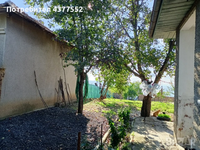 Продавам къща в село Черни Бряг, община Антоново, 64 кв.м с двор, снимка 7 - Къщи - 54828963