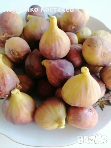 Сладко от смокини , снимка 2 - Домашни продукти - 55611368
