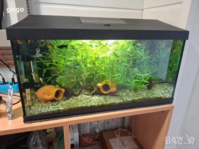 Аквариуми 4 броя, снимка 3 - Аквариуми - 54361578