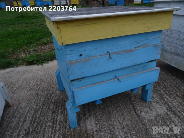 Кошери , Дадан–Блат 12–рамкови , Област Пловдив