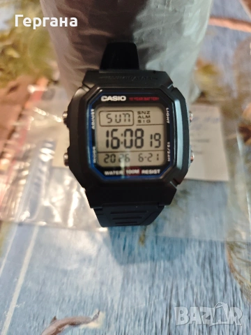 CASIO W-800H 