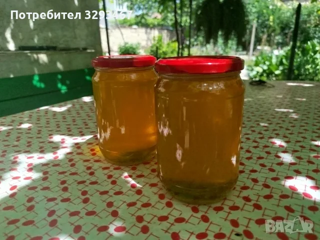 Пчелен мед-реколта 26 на тенекия, снимка 2 - Пчелни продукти - 55537511