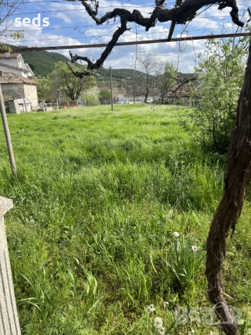 Парцел с къща 1489 кв.м с. Памукчии, обл. Шумен, снимка 9 - Парцели - 54315968