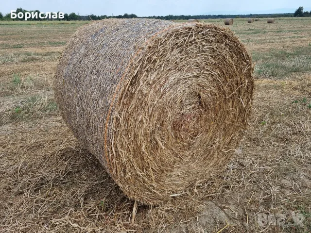 Ролонни бали грах, снимка 3 - За селскостопански - 55570885