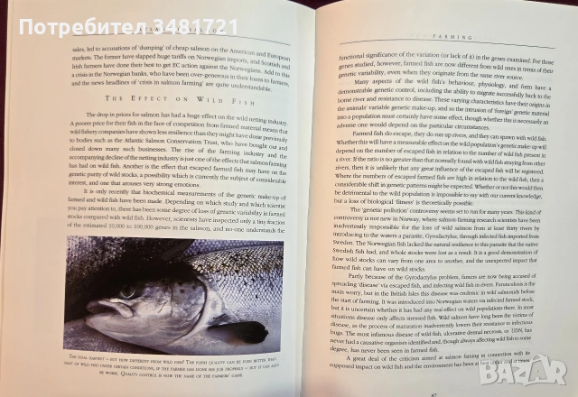 Атлантическата сьомга - илюстриран справочник / Atlantic Salmon. An Illustrated History, снимка 12 - Енциклопедии, справочници - 54956938
