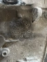 Скоростна кутия за Audi a3 8p 1.6
101кс., снимка 1