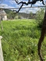 Парцел с къща 1489 кв.м с. Памукчии, обл. Шумен, снимка 9