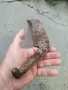 Стар кован масивен тарпан/косер, снимка 4