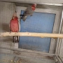 Продавам 2 доказано работещи чифта розово какаду, снимка 5