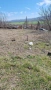 Парцел във гр. Дългопол , снимка 5