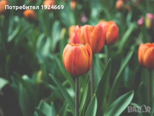 Котел за варене вода електрически 2.5L с контрол на температура 7Q9D, снимка 3 - Стойки, 3D очила, аксесоари - 55445595