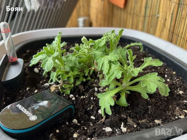 GARDENA SMART сензори за влажност/температура за градина/саксии с WiFi управление, снимка 5 - Други - 55680969
