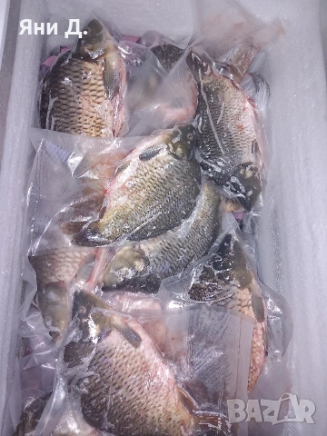 Почистени шаранчета до 1.5кг