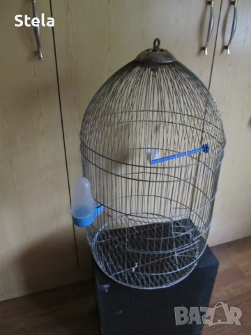 клетка за птици, снимка 2 - Папагали - 54385958