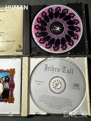 Jethro Tull - Ian Anderson, снимка 12 - CD дискове - 54543397