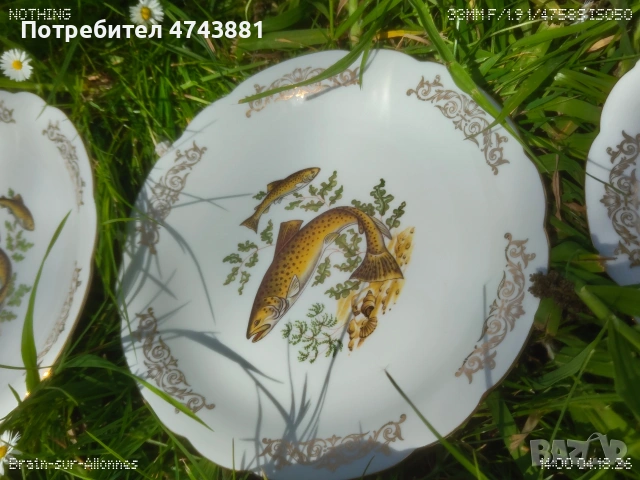 Порцеланови чиний, снимка 8 - Чинии - 55208056