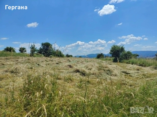 Невероятно красив парцел до регулация в село Дивотино, снимка 5 - Парцели - 54999177