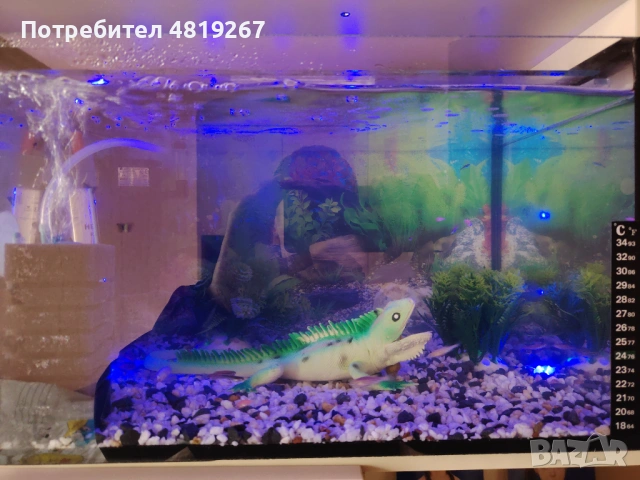 Продавам Аквариум 33л нов , снимка 2 - Рибки - 54555775