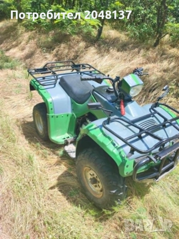 ATV Bashan 250BS-5, снимка 5 - Мотоциклети и мототехника - 54905208