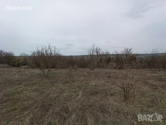 парцел в с. Шемшево , снимка 4 - Парцели - 54132918