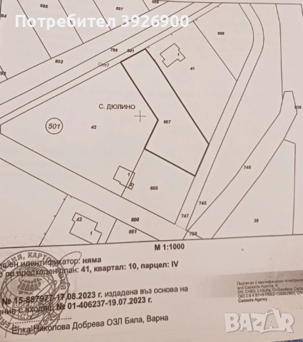  УПИ с.Дюлино, снимка 3 - Парцели - 53242159