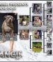 Американско Були Хл American bully Xl ABKC , снимка 4