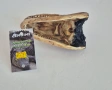 Препарирана глава на крокодил/алигатор., снимка 2