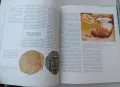 100 години пристанище Варна - луксозен юбилеен албум, снимка 8