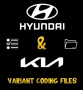 Hyundai & Kia файлове за вариант кодиране, снимка 1