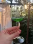 И последно за днес е зелено трио💚 Невероятно красив цвят, лозова декорация, снимка 12