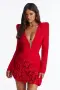 Оригинална Мини Рокля 3D апликация - бранд Fashion Nova, снимка 1