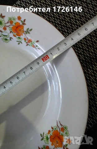 Порцеланова чиния на Дянко Стефанов , снимка 4 - Чинии - 54352302