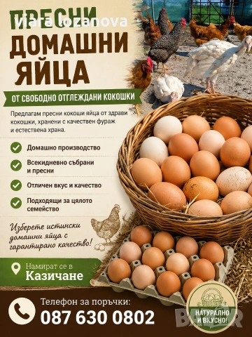 Продавам домашни яйца, снимка 2 - Домашни продукти - 55018433