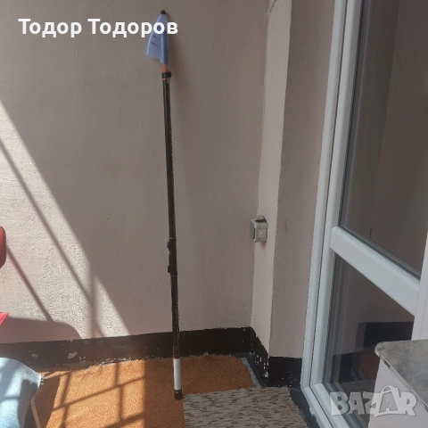 Болонезе Mikado Proncess