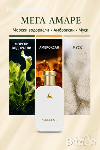 MUSCENT PARFUME
