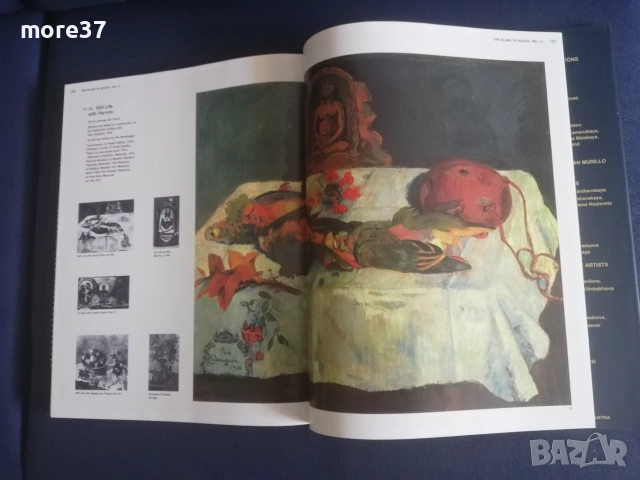 Пол Гоген-рядка книга, снимка 11 - Изкуство, музика, кино и фотография - 55314834